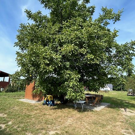 Agroturystyka U Krystyny Villa Moryn Esterno foto