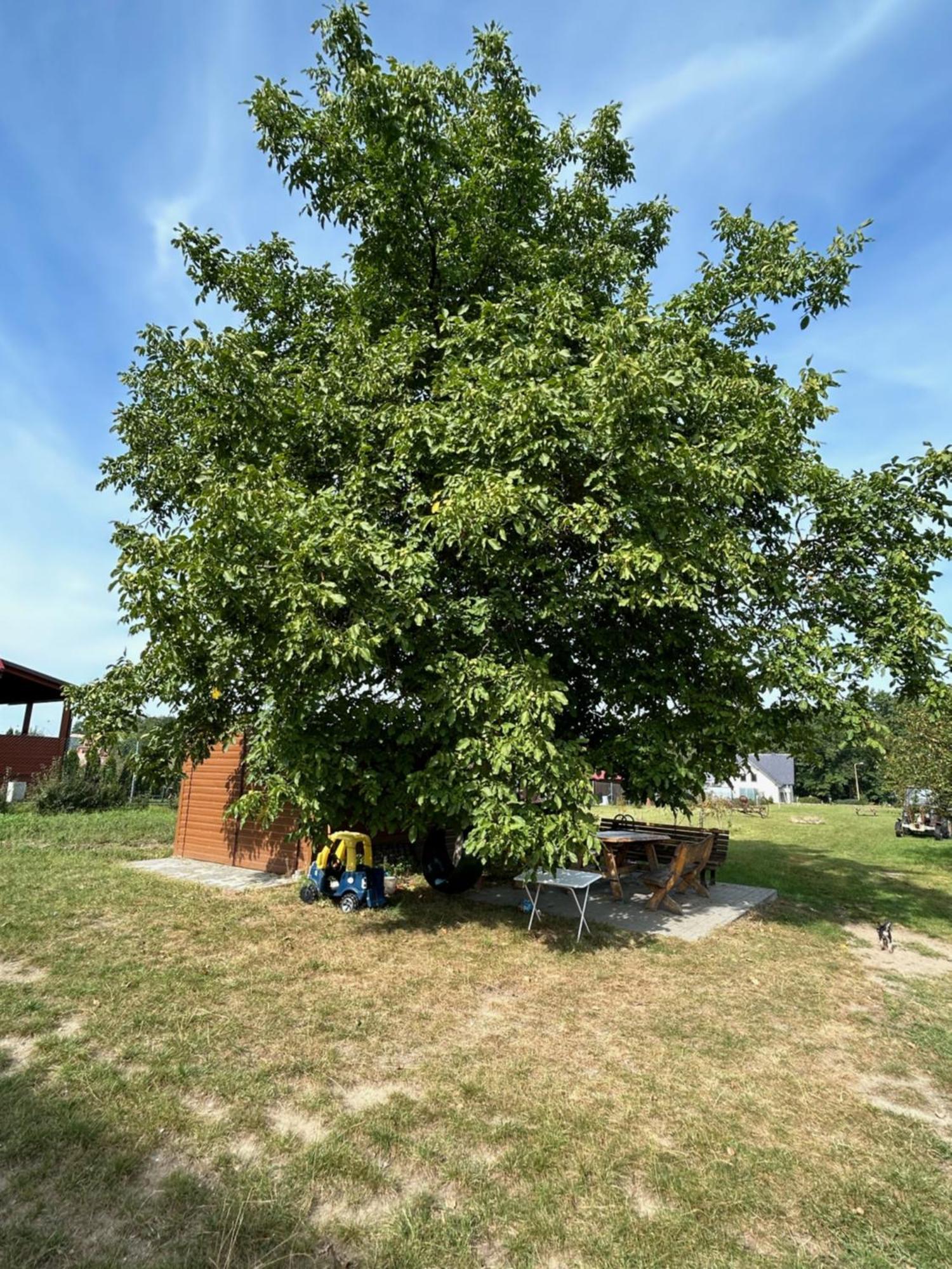 Agroturystyka U Krystyny Villa Moryn Esterno foto